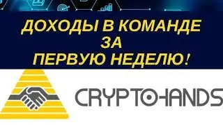 Доходы в команде за первую неделю в Cryptohands