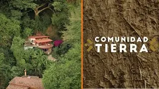 ¿Cómo funciona un real sistema de permacultura? | Comunidad Tierra