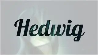 Significado de Hedwig, nombre Alem&aacute;n para tu bebe ni&ntilde;o o ni&ntilde;a (origen y personalidad)