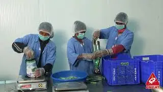 Frozen Vegetables India By Daulat Agro