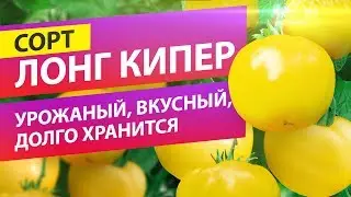 СВОИ ТОМАТЫ УЖЕ В МАРТЕ! СОРТ ЛОНГ КИПЕР