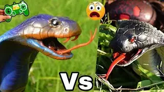 Распаковка и тестирование радиоуправляемой змеи King Cobra Snake | Радиоуправляемая змея