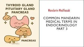 Common Medical Terms for endocrine system in Chinese Part 3