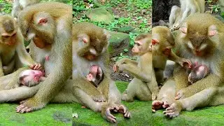 Congrats, Luno brother comes to che,.ck his newborn brother very lovely.