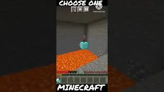 Diamonds or Baby Villager||Choose one