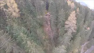 Holzbringung mit Seilbahn Vario25 - Prozessorbagger