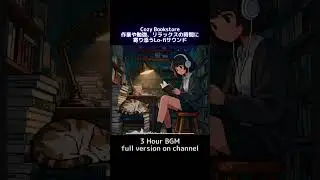 Midnight Bookstore 📚 | Cozy Lofi for Studying 🎧