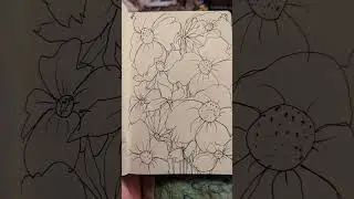 Flowers have been a constant in my sketchbook over the years✌️💚 Join me tomorrow to colour them 👀