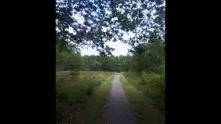 emmerdennen fietspad van emmen naar emmerschans