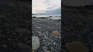 Shankill beach walk