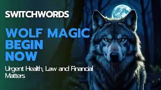 Urgent Health, Law and Financial Matters with Switchwords - Sleep Cycle - WOLF-MAGIC-BEGIN-NOW