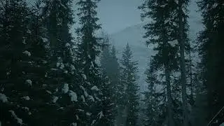 Icy Rain - 8 Hours of ice rain falling in a dark forest