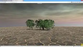 Swaying Trees in the Wind.