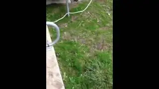 Gazon rustique video 2...