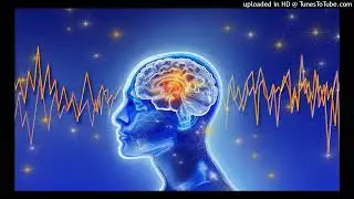 DJ's Friction & Spice - In The Mind