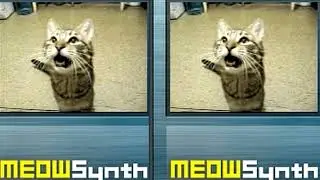 (MeowSynth) Mr. Blue Sky
