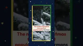 Origin of the Christmas Tree #ChristmasHistory #HolidayTraditions #christmas2024 #christmastree