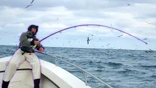 Birds, Bait, and Bass!!! Lights Out Fall Run Fishing!