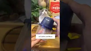 Кто хочет ещё рецептов? 🤭🐈 #CatFoodBlender