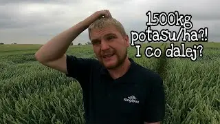 Analiza wyników prób glebowych. Średnie zawartości ile to tak naprawdę jest?