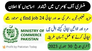 Ministry of Commerce Jobs 2023 &ndash; Latest Government Jobs In Pakistan 2023 - Apply now