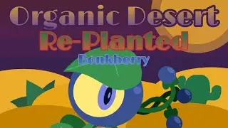 🌵Organic Desert: Re-Planted | Bonkberry🌵