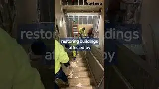 😮 Mold Remediation & Water Damage Repair &bull; Boston, MA #shorts