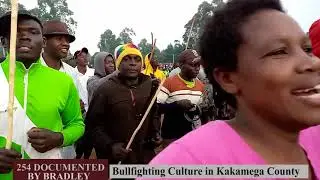 BULLFIGHTING IN KAKAMEGA