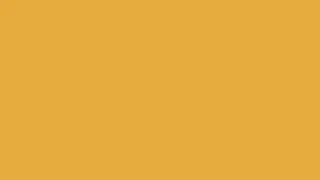 YELLOW SCREEN 12 HOURS 4K UHD 🟩 10 HOURS 🟩1 HOUR