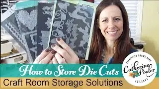 Storage Solutions for Die cutting with Catherine Pooler