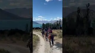 Horse ride West Wanaka, New Zealand