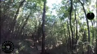 Gli Arditi Della sdricca
