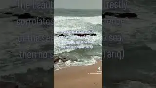 The beauty of a shore #trendytariq#quotes#youtubeshorts#fyp#viral