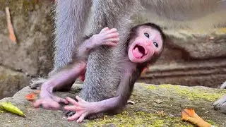 Great cute baby Bessie be p@tientt as possible, Button seem nott politee | Baby Fabulous