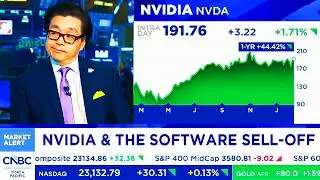 CNBC & Fox Today On NVIDIA Stock, Hyperscalers & Software Sell-Off - NVDA Update