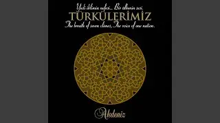 Adananın Yolları Taştan