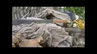 A Machete Rebuild.