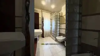 IMG 7141
