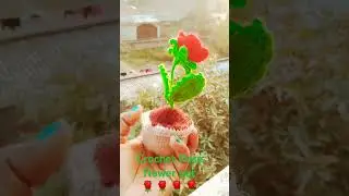 Crochet Rose flower pot🌹🌹🌹#crochet #myhobby #rose#flowerpot#viral#viralshorts #trending