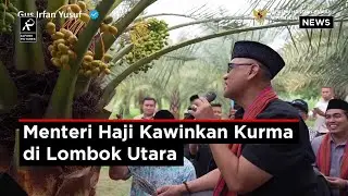Menhaj Gus Irfan Yusuf Kunjungi Perkebunan Kurma Jugil di Gangga, Lombok Utara NTB