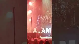 Adam Ant