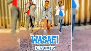 Ona Style Za Dancers Wa WCB Wasafi #wasafi #dancers