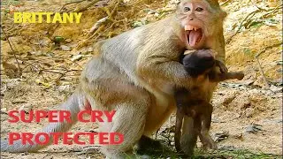 LIFE SADNESS OF MOM BRINN SUPER CRY PROTECTED TO HER BABY BRINN HUT RUN A WAY |