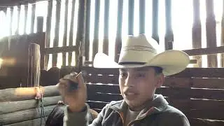 #storytime #pony #viralvideo