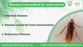 Diseases transmitted by cockroaches | Cockroach Control Treatment | South India Pest Control