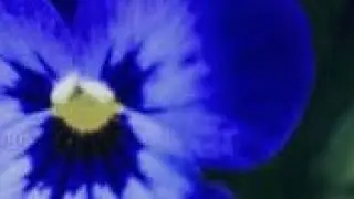@रेखा ऑफिशियल  is live