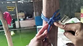 Smart Idea !!! Rope Knot tutorial method - short and very strong