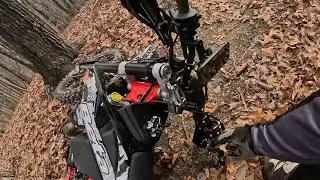 Beta 300 rr vs. tree