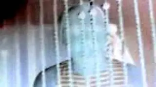 MOV07005
