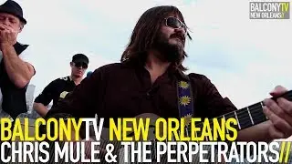 CHRIS MULE & THE PERPETRATORS - SHE GOES CRAZY (BalconyTV)